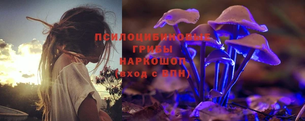 мескалин Алексин