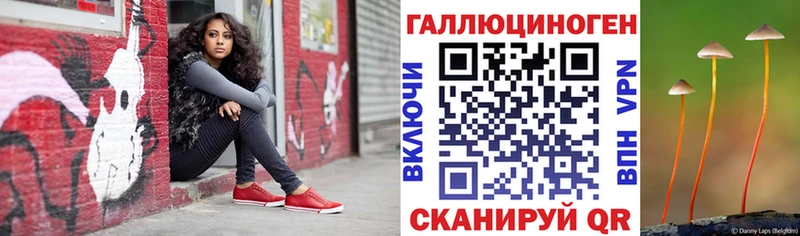 купить   Лермонтов  Галлюциногенные грибы мицелий 